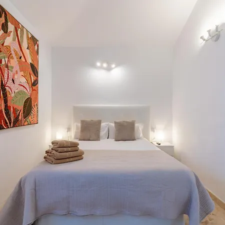 Bright With A Private Swimming Pool, Air Conditioning, Garden And Parking * 산미겔데아보나