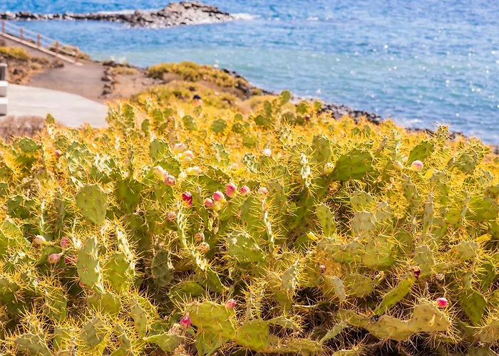 Дом отдыха Near The Ocean With Private Pool And Garage Сан Мигель